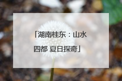 湖南桂东：山水四都 夏日探奇
