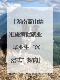 湖南蓝山精准施策促就业 毕业生“沉浸式”探岗