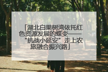 湖北白果树湾依托红色资源发展的蝶变——“抗战小延安”走上农旅融合振兴路