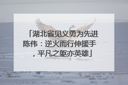 湖北省见义勇为先进陈伟：逆火而行伸援手，平凡之躯亦英雄