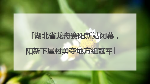 湖北省龙舟赛阳新站闭幕，阳新下屋村勇夺地方组冠军