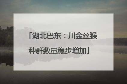 湖北巴东：川金丝猴种群数量稳步增加