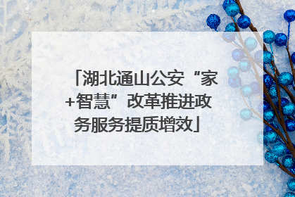 湖北通山公安“家+智慧”改革推进政务服务提质增效