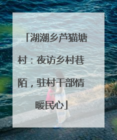 湖潮乡芦猫塘村：夜访乡村巷陌，驻村干部情暖民心