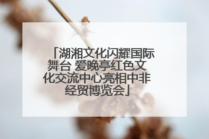 湖湘文化闪耀国际舞台 爱晚亭红色文化交流中心亮相中非经贸博览会