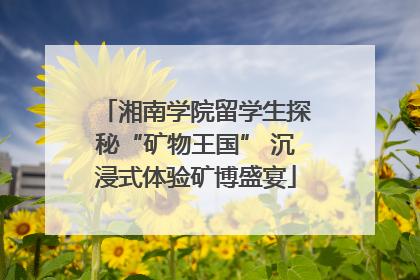 湘南学院留学生探秘“矿物王国” 沉浸式体验矿博盛宴