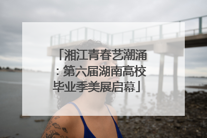 湘江青春艺潮涌：第六届湖南高校毕业季美展启幕