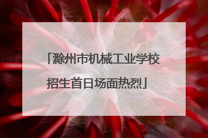 滁州市机械工业学校招生首日场面热烈