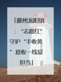 滕州龙阳镇：“志愿红”守护“丰收黄”夏收一线显担当