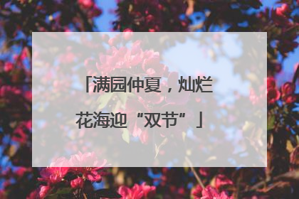 满园仲夏，灿烂花海迎“双节”
