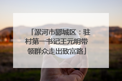 漯河市郾城区：驻村第一书记王元明带领群众走出致富路