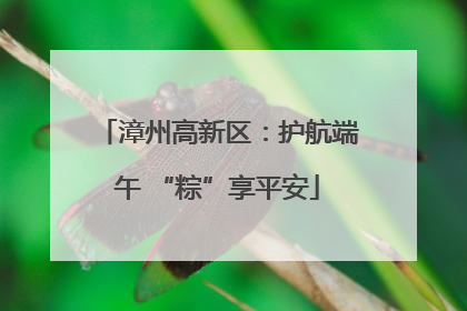 漳州高新区：护航端午 “粽”享平安