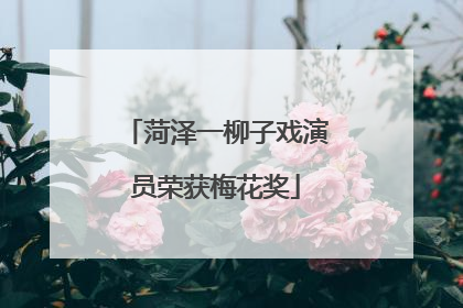 菏泽一柳子戏演员荣获梅花奖