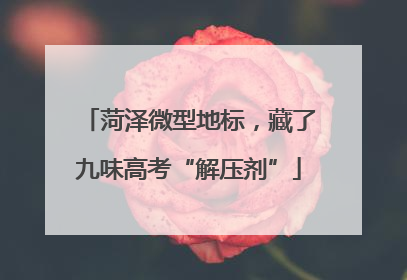 菏泽微型地标，藏了九味高考“解压剂”
