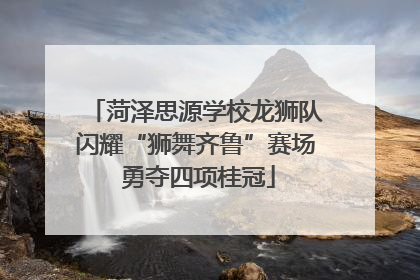 菏泽思源学校龙狮队闪耀“狮舞齐鲁”赛场 勇夺四项桂冠
