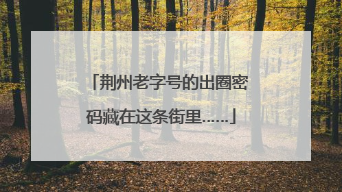 荆州老字号的出圈密码藏在这条街里……