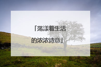 荡漾着生活的浓浓诗意