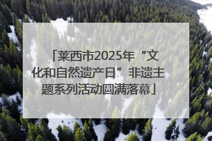 莱西市2025年“文化和自然遗产日”非遗主题系列活动圆满落幕