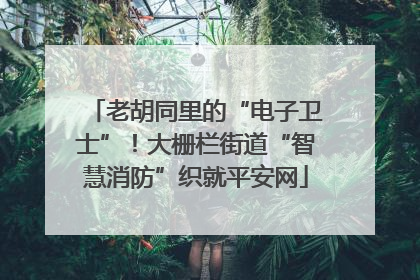 老胡同里的“电子卫士”！大栅栏街道“智慧消防”织就平安网