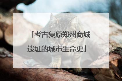 考古复原郑州商城遗址的城市生命史
