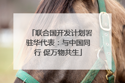 联合国开发计划署驻华代表：与中国同行 促万物共生