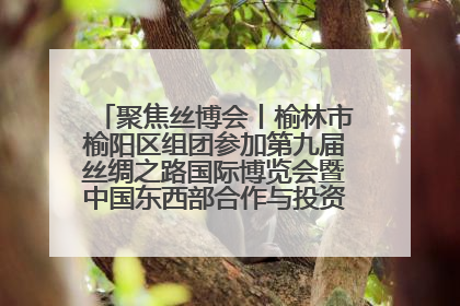 聚焦丝博会丨榆林市榆阳区组团参加第九届丝绸之路国际博览会暨中国东西部合作与投资贸易洽谈会