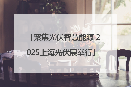 聚焦光伏智慧能源 2025上海光伏展举行