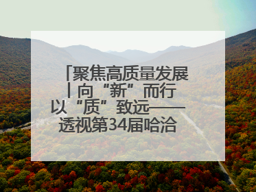 聚焦高质量发展丨向“新”而行 以“质”致远——透视第34届哈洽会上的创新动能