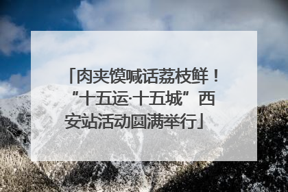 肉夹馍喊话荔枝鲜！“十五运·十五城”西安站活动圆满举行