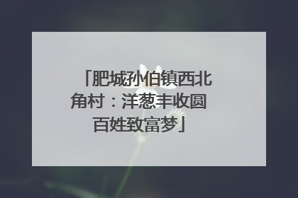 肥城孙伯镇西北角村：洋葱丰收圆百姓致富梦