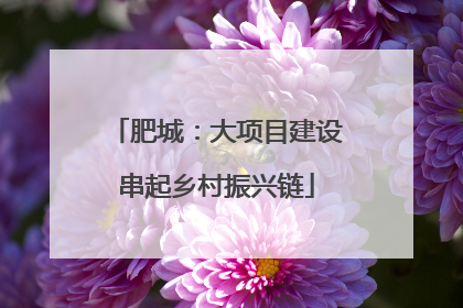 肥城：大项目建设串起乡村振兴链