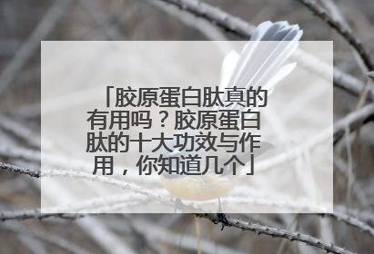 胶原蛋白肽真的有用吗？胶原蛋白肽的十大功效与作用，你知道几个
