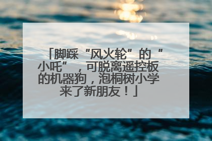 脚踩“风火轮”的“小吒”，可脱离遥控板的机器狗，泡桐树小学来了新朋友！