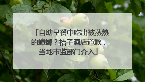 自助早餐中吃出被蒸熟的蟑螂？桔子酒店道歉，当地市监部门介入
