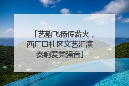 艺韵飞扬传薪火，西厂口社区文艺汇演奏响爱党强音