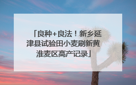 良种+良法！新乡延津县试验田小麦刷新黄淮麦区高产记录