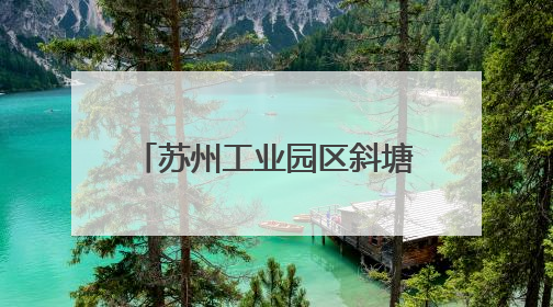 苏州工业园区斜塘学校十岁成长礼暨2025年园区青少年健康月启动
