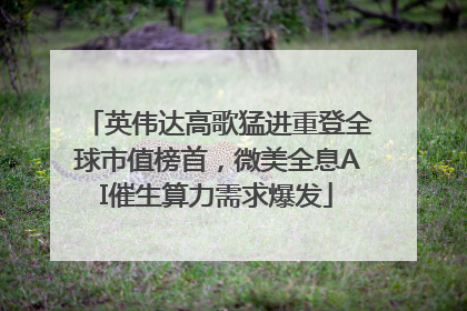英伟达高歌猛进重登全球市值榜首，微美全息AI催生算力需求爆发