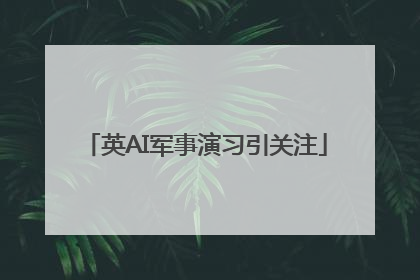 英AI军事演习引关注