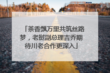 茶香飘万里共筑丝路梦，老挝副总理吉乔期待川老合作更深入