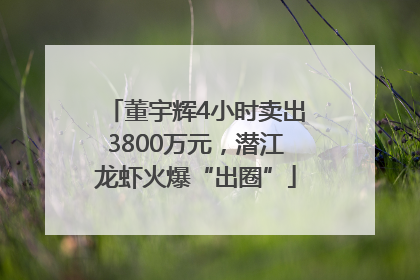 董宇辉4小时卖出3800万元，潜江龙虾火爆“出圈”