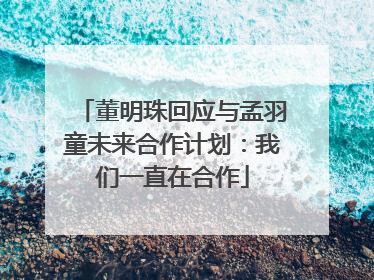 董明珠回应与孟羽童未来合作计划：我们一直在合作