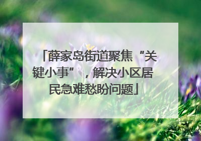 薛家岛街道聚焦“关键小事”，解决小区居民急难愁盼问题