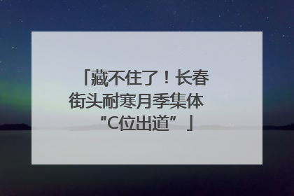 藏不住了！长春街头耐寒月季集体“C位出道”