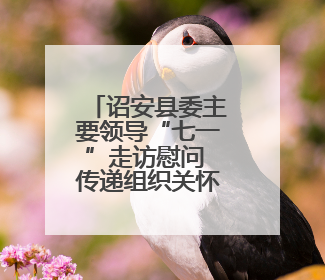 诏安县委主要领导“七一”走访慰问 传递组织关怀与温暖