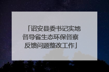 诏安县委书记实地督导省生态环保督察反馈问题整改工作