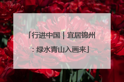 行进中国｜宜居锦州：绿水青山入画来