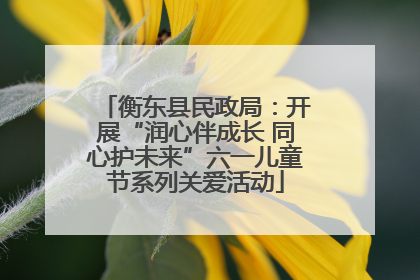 衡东县民政局：开展“润心伴成长 同心护未来”六一儿童节系列关爱活动