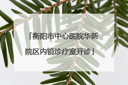 衡阳市中心医院华新院区内镜诊疗室开诊