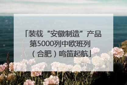 装载“安徽制造”产品 第5000列中欧班列（合肥）鸣笛起航
